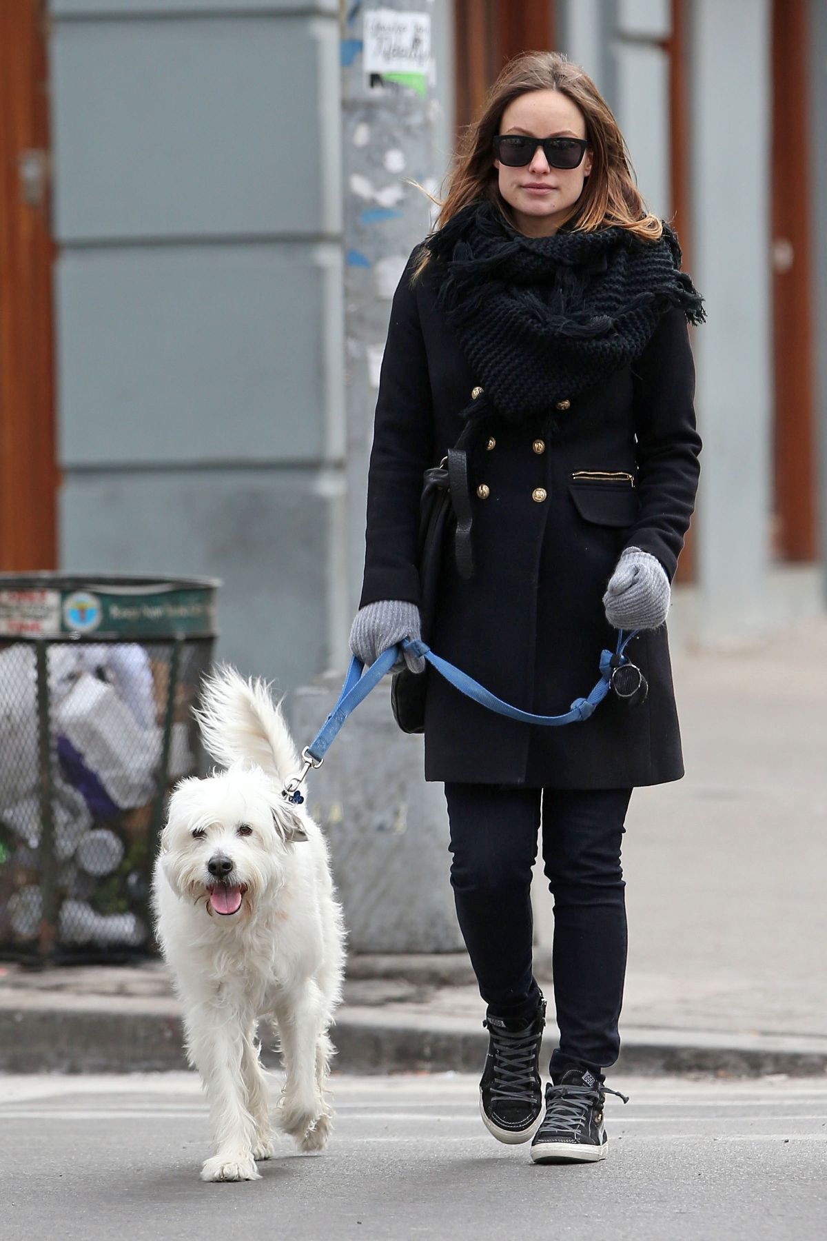 Olivia Wilde, photo #709565