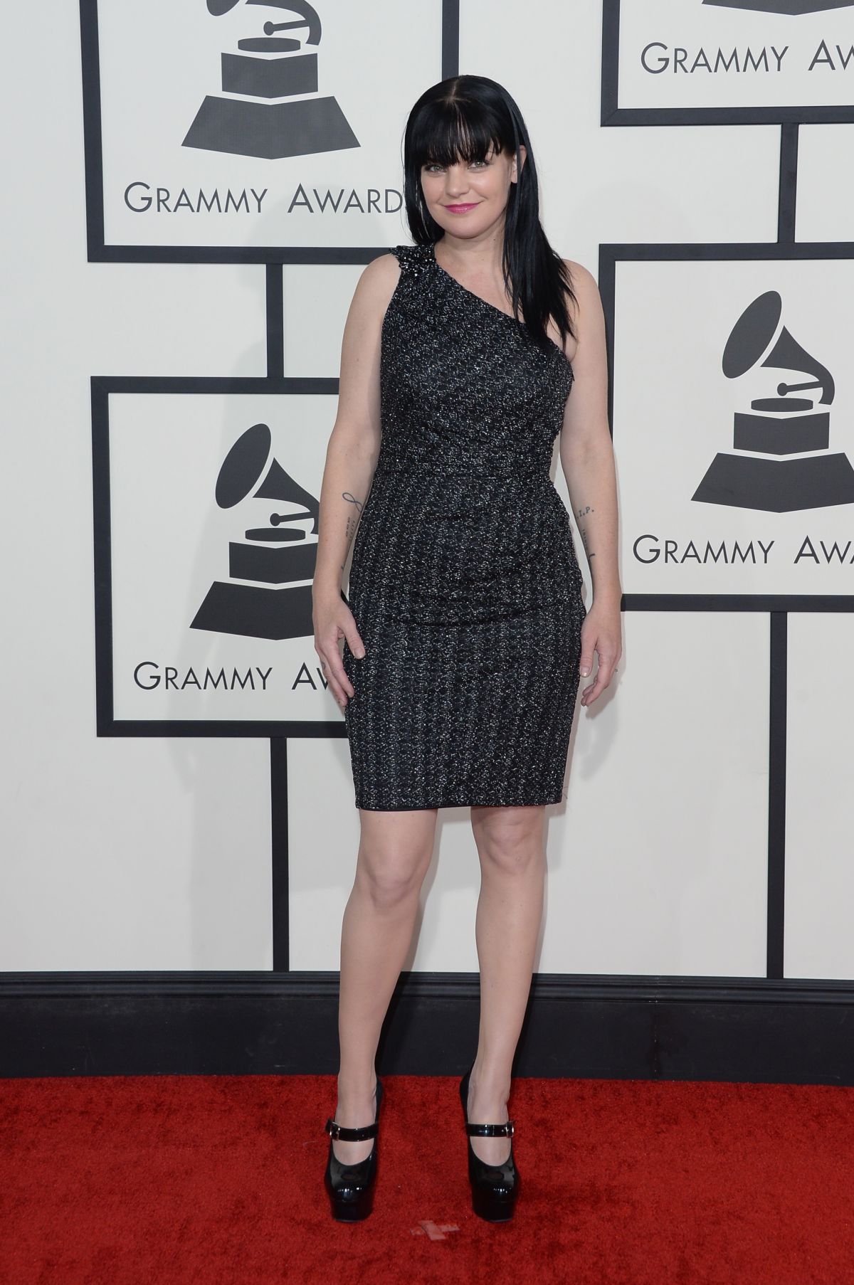 Pauley Perrette, photo #698559