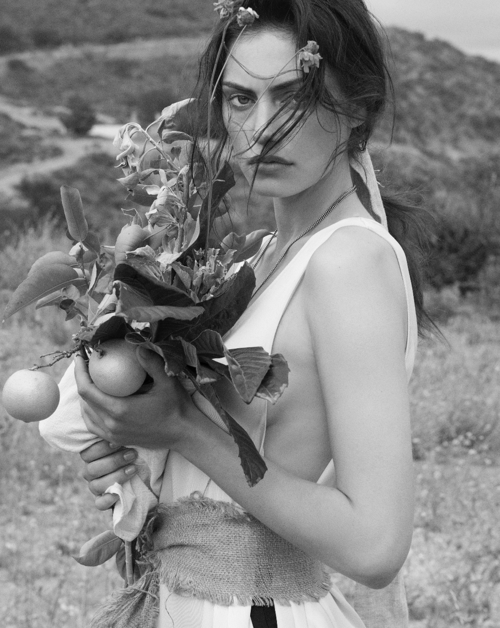 Phoebe Tonkin, photo #823542