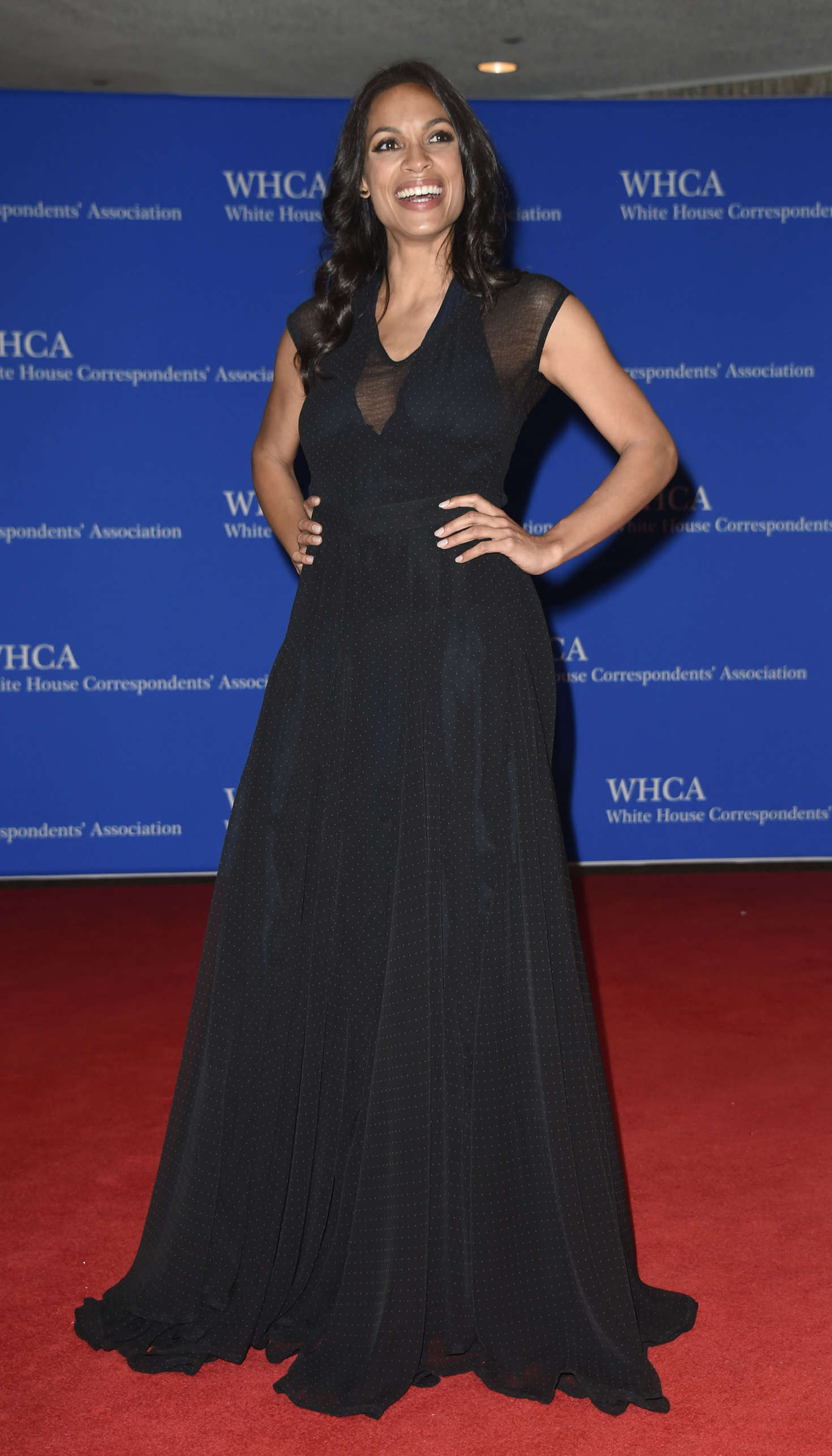 Rosario Dawson, photo #884099