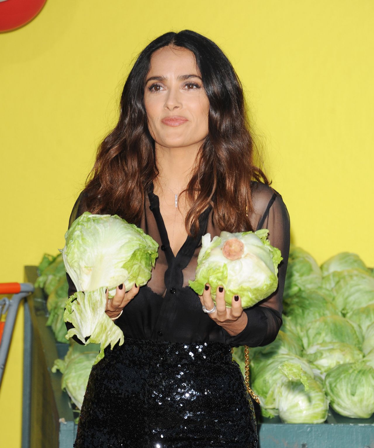 Salma Hayek, photo #905235