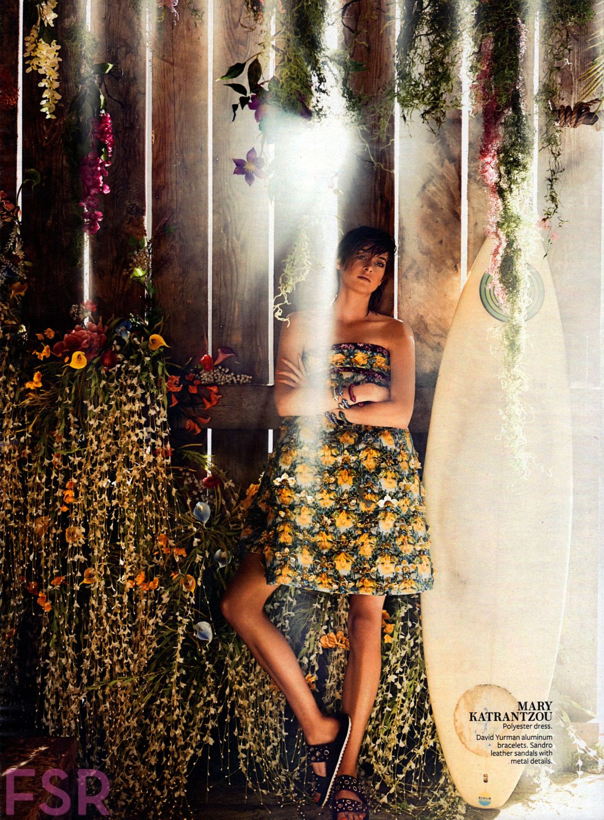 Shailene Woodley, photo #735626