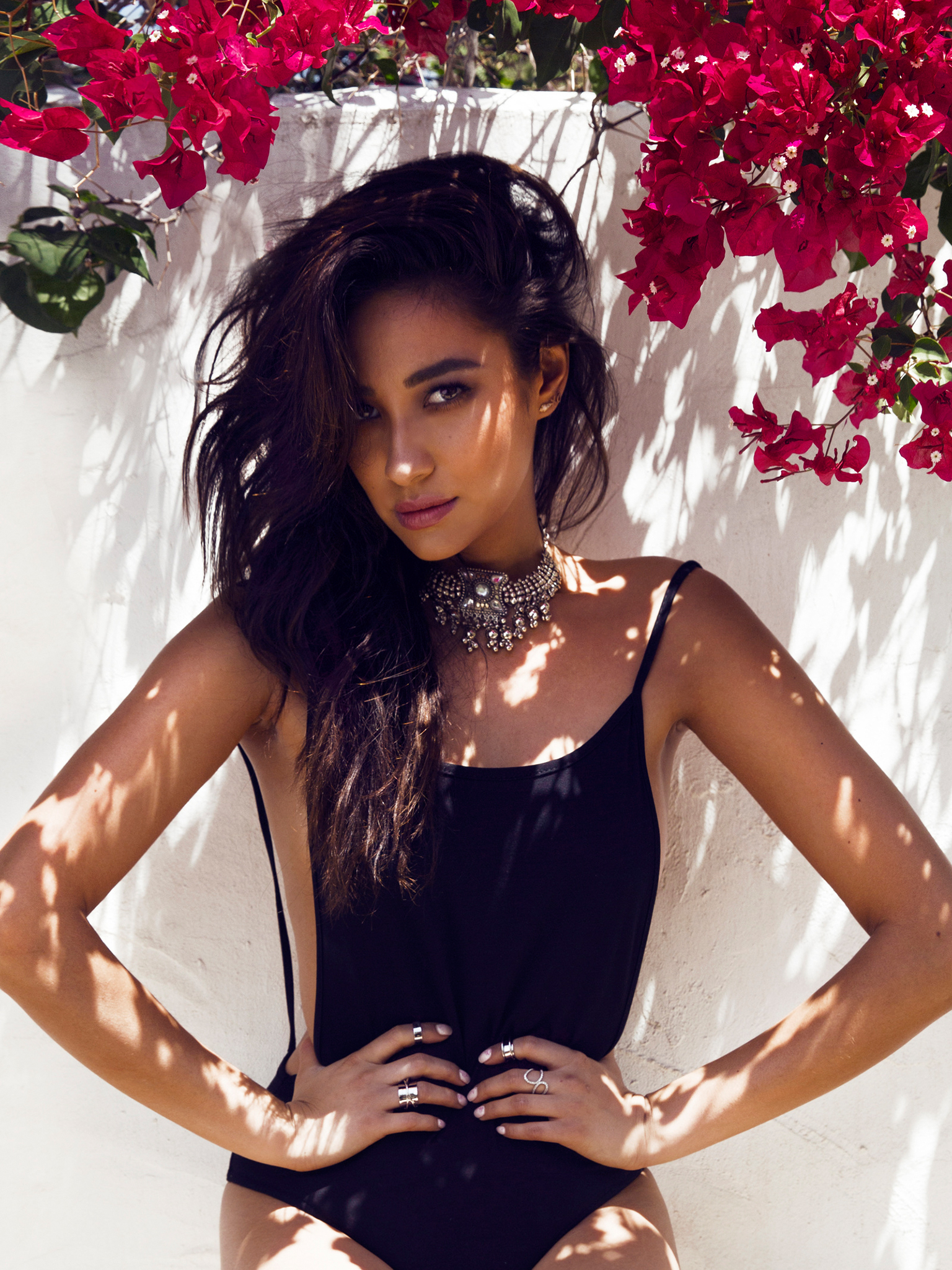 Shay Mitchell, photo #813886