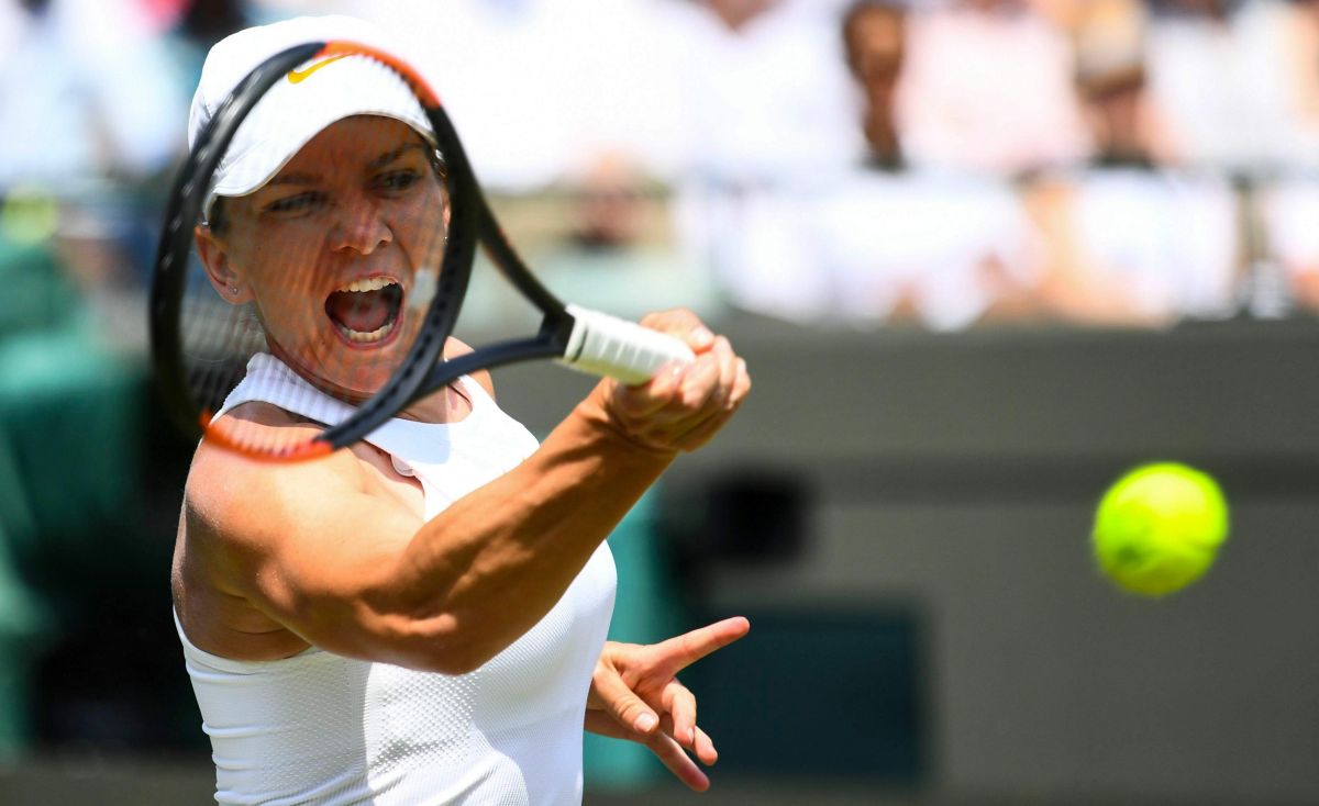Simona Halep, photo #1083315