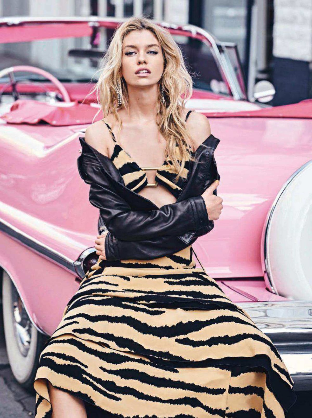Stella Maxwell, photo #1094979