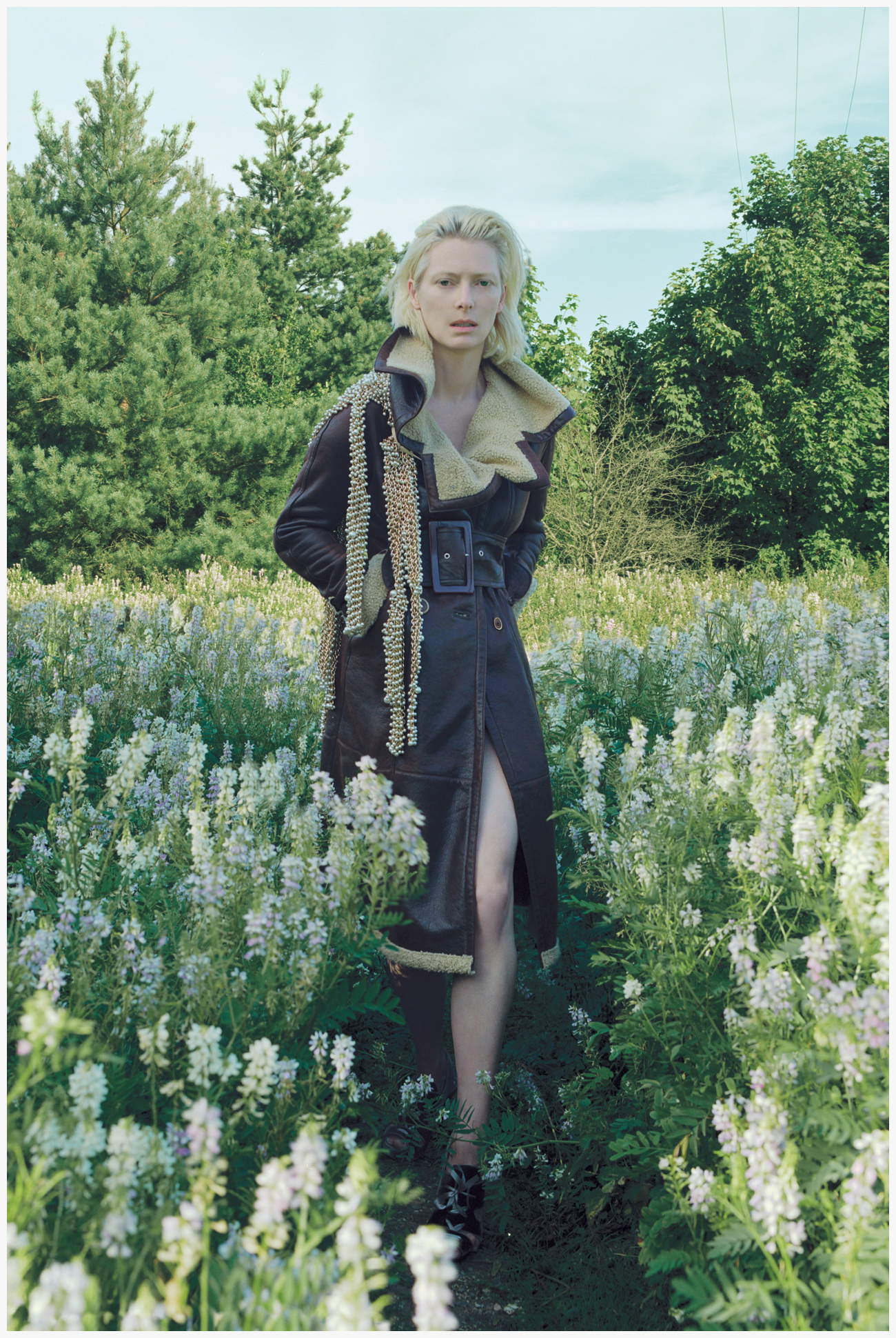 Tilda Swinton, photo #721676