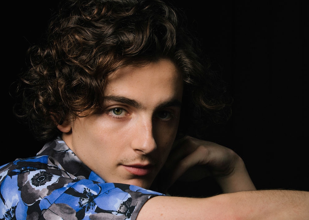 Timothee Chalamet, photo #1401864