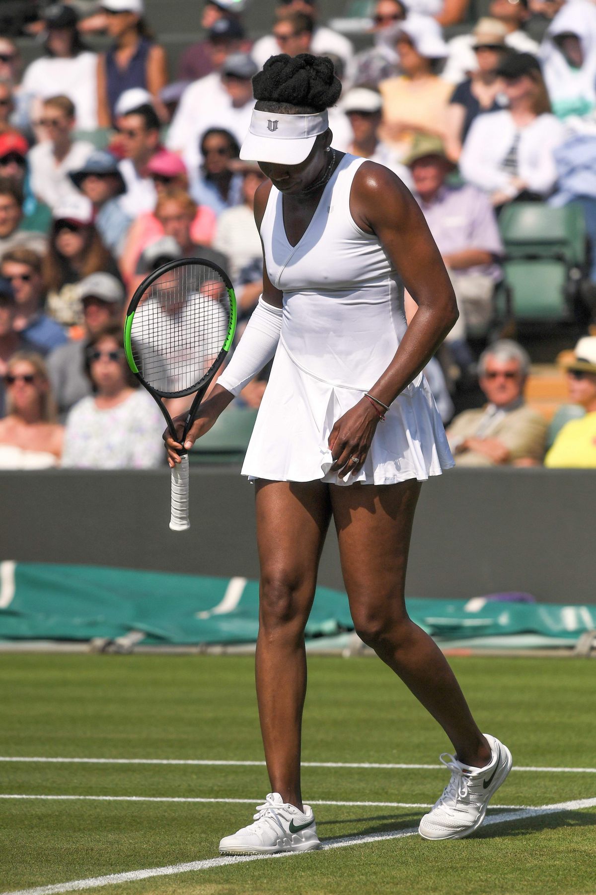 Venus Williams, photo #1083300
