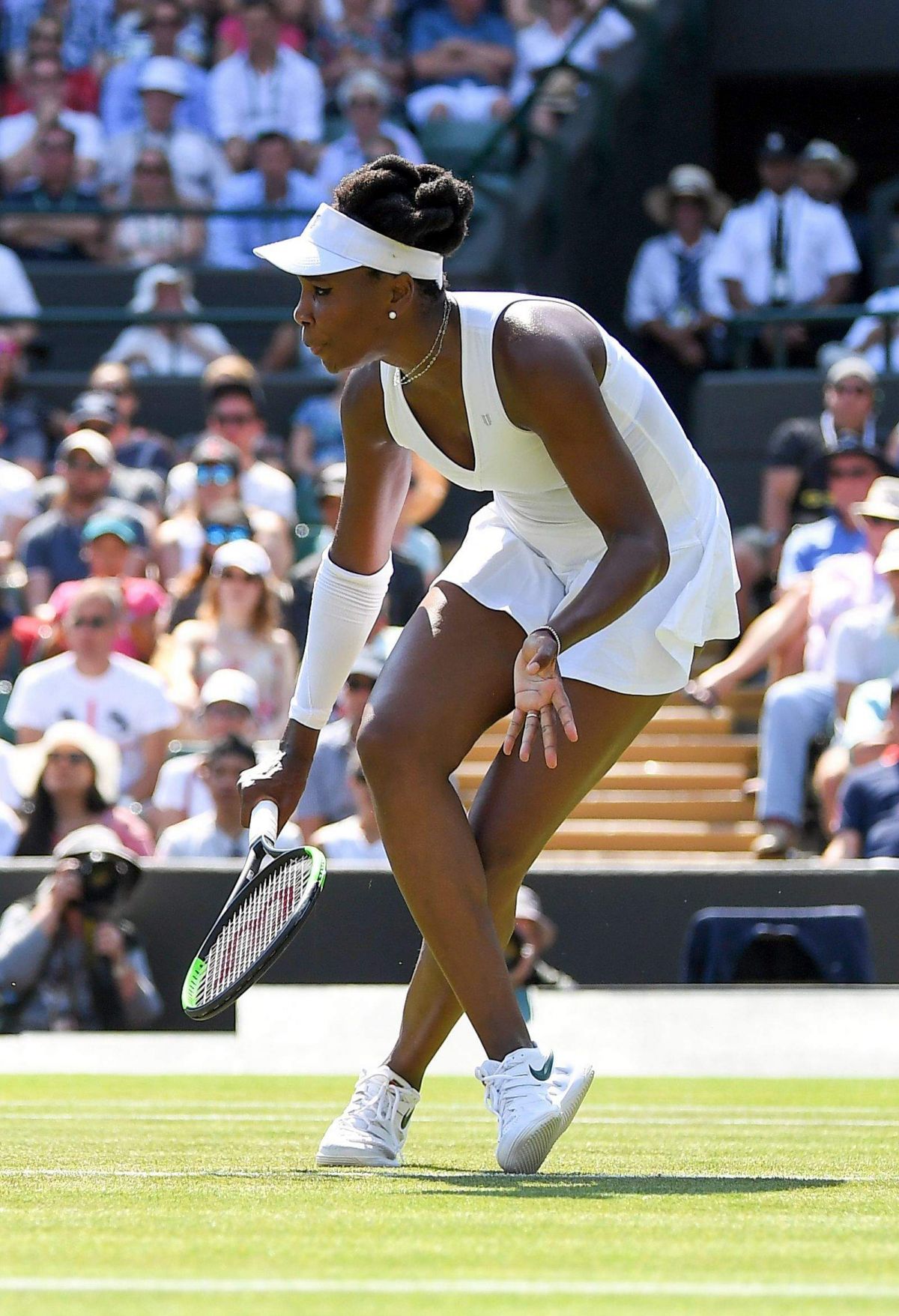 Venus Williams, photo #1083269