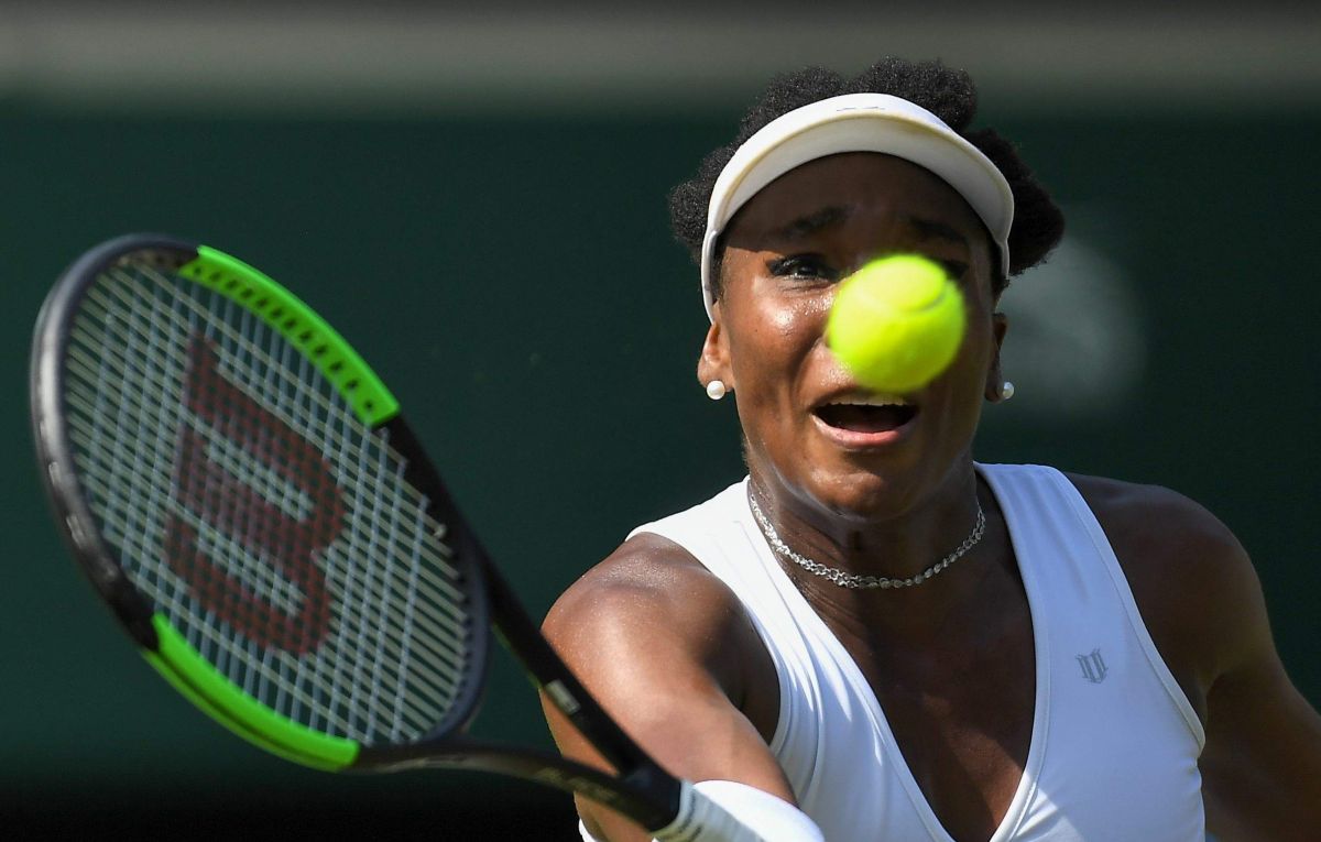 Venus Williams, photo #1083266