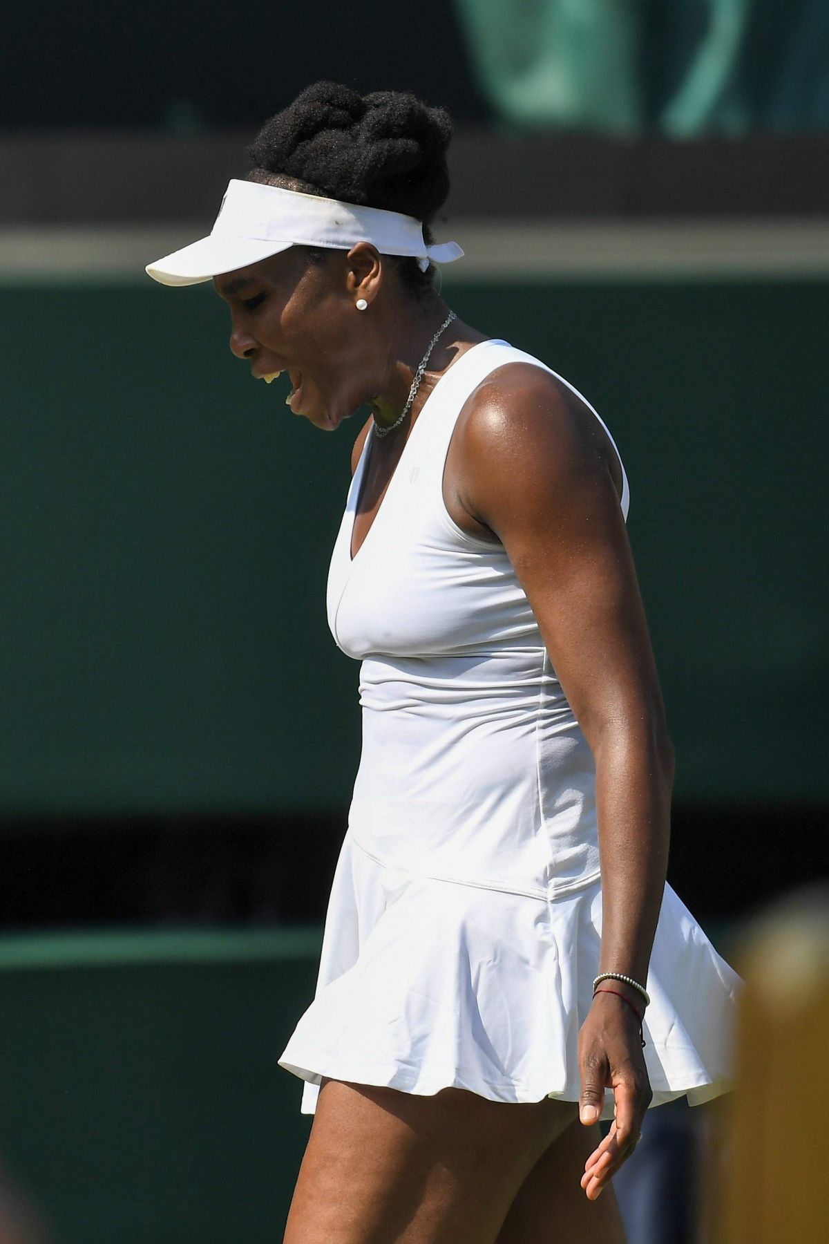 Venus Williams, photo #1083350