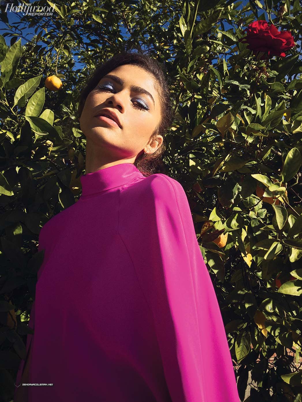 Zendaya, photo #1326481