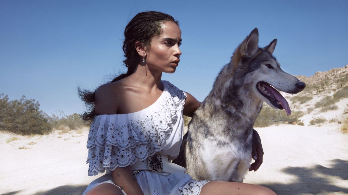 Zoe Kravitz, photo #1101452